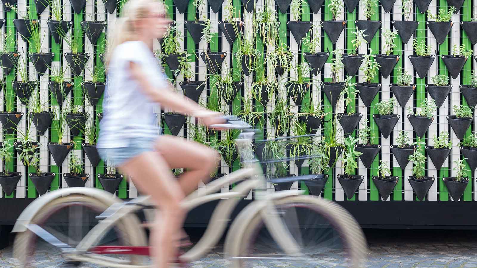 Cyklist foran grøn plantevæg